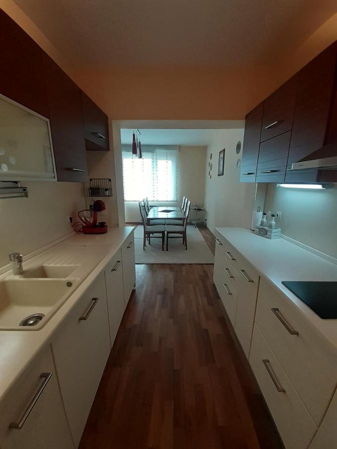 Statevi Guest Apartment فيلينغراد المظهر الخارجي الصورة